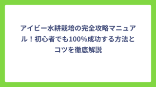 アイビー水耕栽培の完全攻略マニュアル！初心者でも100%成功する方法とコツを徹底解説