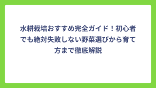 水耕栽培おすすめ完全ガイド！初心者でも絶対失敗しない野菜選びから育て方まで徹底解説
