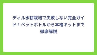 ディル水耕栽培で失敗しない完全ガイド！ペットボトルから本格キットまで徹底解説