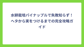 水耕栽培パイナップルで失敗知らず！ヘタから実をつけるまでの完全攻略ガイド