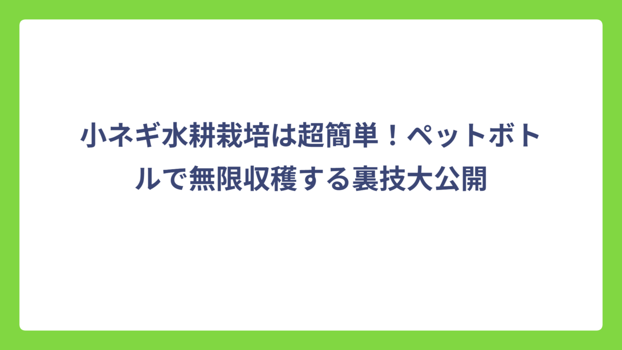 小ネギ水耕栽培は超簡単！ペットボトルで無限収穫する裏技大公開
