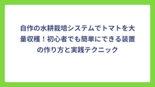 自作の水耕栽培システムでトマトを大量収穫！初心者でも簡単にできる装置の作り方と実践テクニック