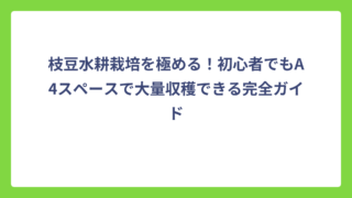 枝豆水耕栽培を極める！初心者でもA4スペースで大量収穫できる完全ガイド