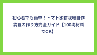 初心者でも簡単！トマト水耕栽培自作装置の作り方完全ガイド【100均材料でOK】
