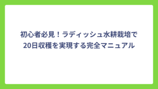 初心者必見！ラディッシュ水耕栽培で20日収穫を実現する完全マニュアル