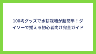 100均グッズで水耕栽培が超簡単！ダイソーで揃える初心者向け完全ガイド