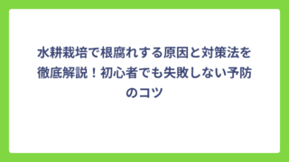 水耕栽培で根腐れする原因と対策法を徹底解説！初心者でも失敗しない予防のコツ