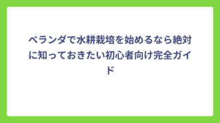 ベランダで水耕栽培を始めるなら絶対に知っておきたい初心者向け完全ガイド