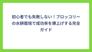 初心者でも失敗しない！ブロッコリーの水耕栽培で成功率を爆上げする完全ガイド