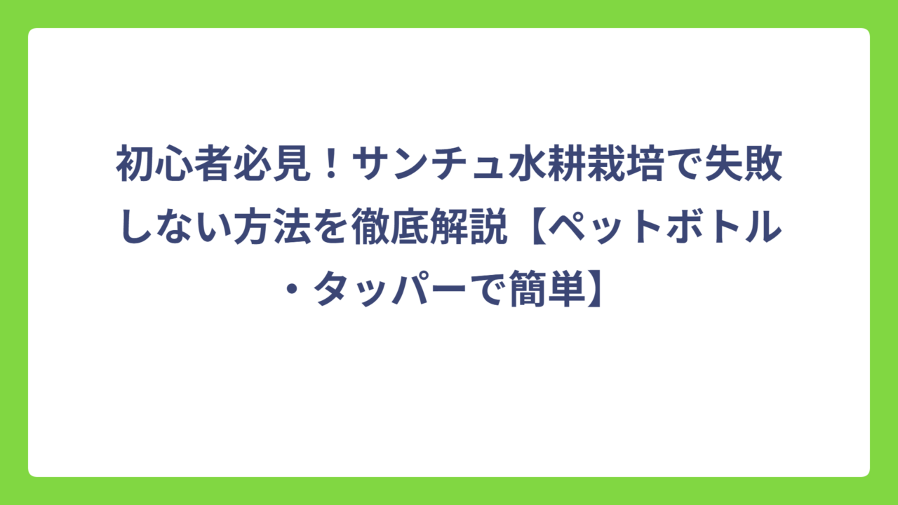 初心者必見！サンチュ水耕栽培で失敗しない方法を徹底解説【ペットボトル・タッパーで簡単】