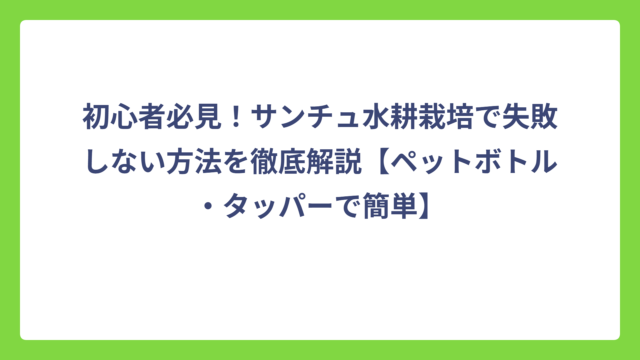 初心者必見！サンチュ水耕栽培で失敗しない方法を徹底解説【ペットボトル・タッパーで簡単】