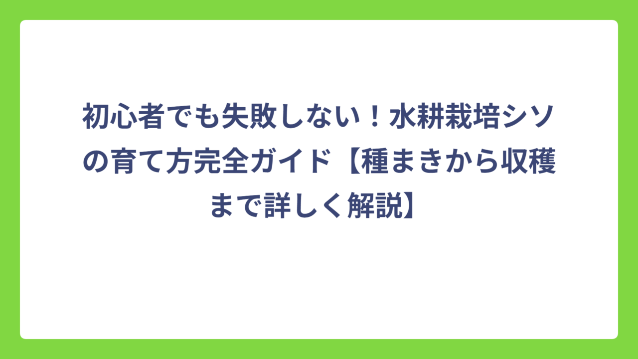 初心者でも失敗しない！水耕栽培シソの育て方完全ガイド【種まきから収穫まで詳しく解説】