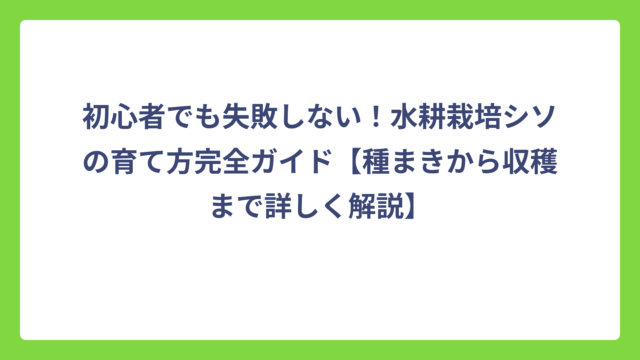 初心者でも失敗しない！水耕栽培シソの育て方完全ガイド【種まきから収穫まで詳しく解説】