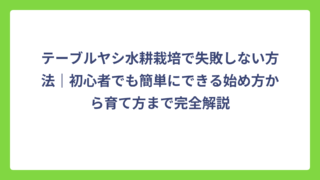 テーブルヤシ水耕栽培で失敗しない方法｜初心者でも簡単にできる始め方から育て方まで完全解説