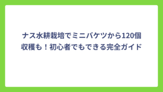 ナス水耕栽培でミニバケツから120個収穫も！初心者でもできる完全ガイド