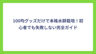 100均グッズだけで本格水耕栽培！初心者でも失敗しない完全ガイド