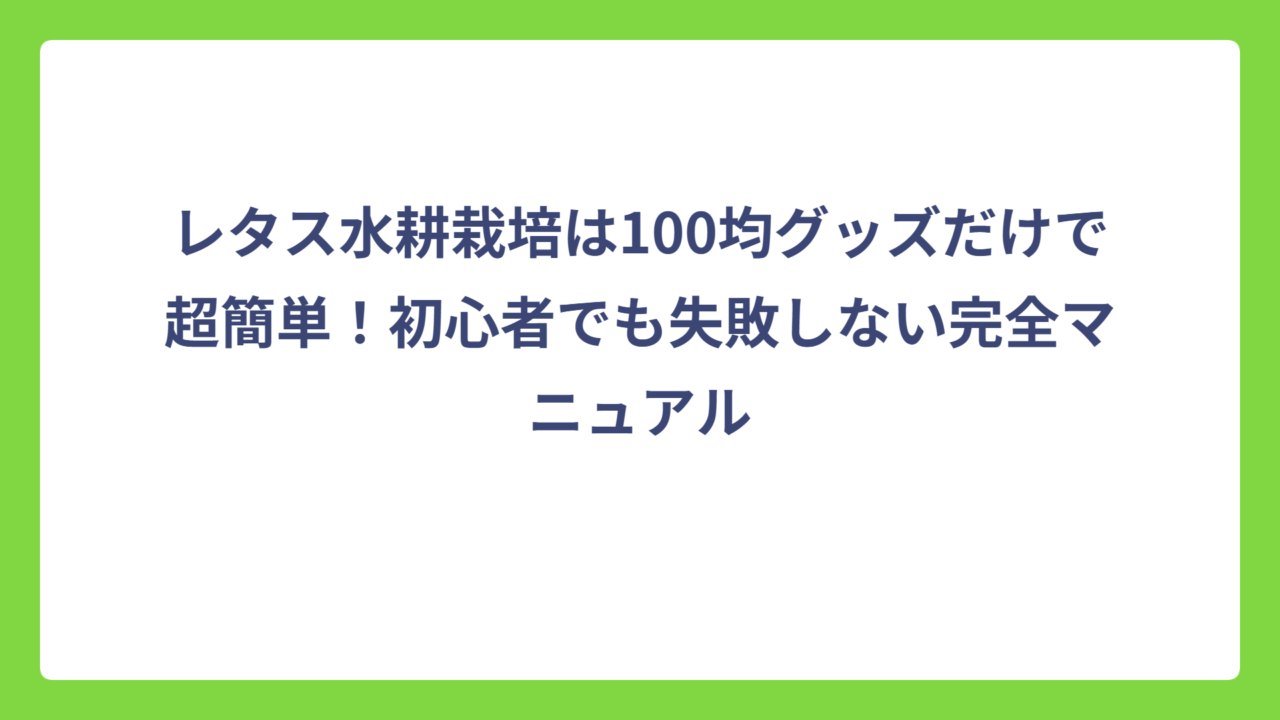 レタス水耕栽培は100均グッズだけで超簡単！初心者でも失敗しない完全マニュアル