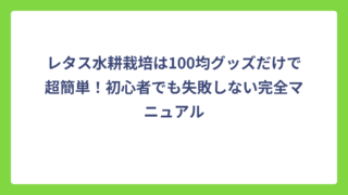 レタス水耕栽培は100均グッズだけで超簡単！初心者でも失敗しない完全マニュアル