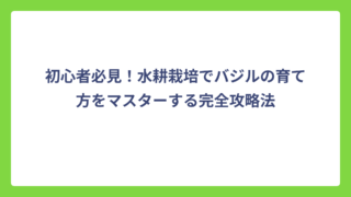 初心者必見！水耕栽培でバジルの育て方をマスターする完全攻略法