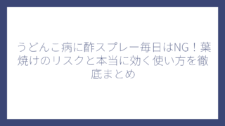 うどんこ病に酢スプレー毎日はNG！葉焼けのリスクと本当に効く使い方を徹底まとめ