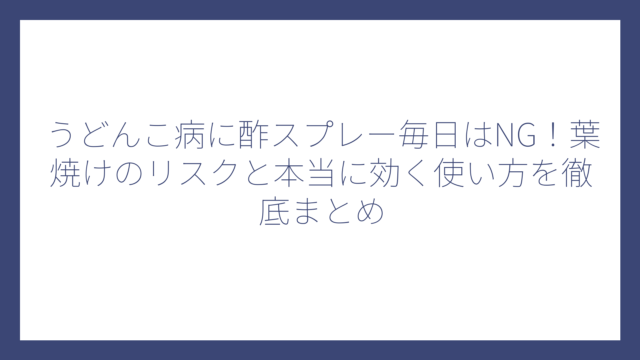 うどんこ病に酢スプレー毎日はNG！葉焼けのリスクと本当に効く使い方を徹底まとめ
