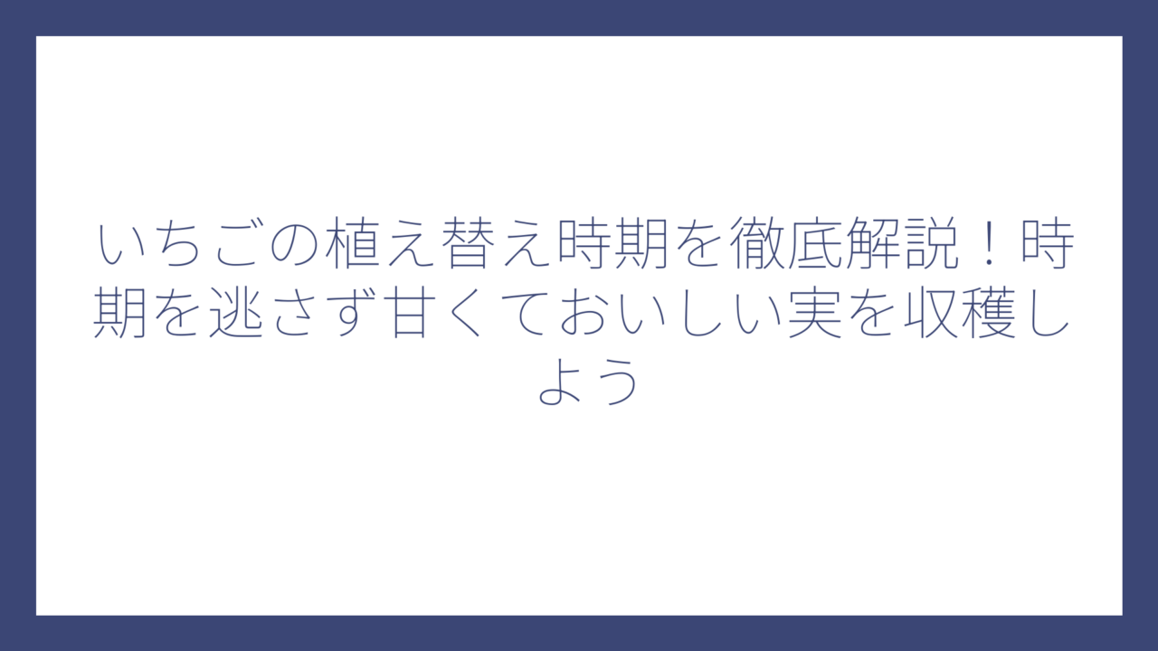 いちごの植え替え時期を徹底解説！時期を逃さず甘くておいしい実を収穫しよう