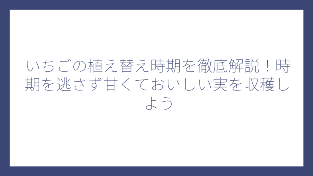 いちごの植え替え時期を徹底解説！時期を逃さず甘くておいしい実を収穫しよう