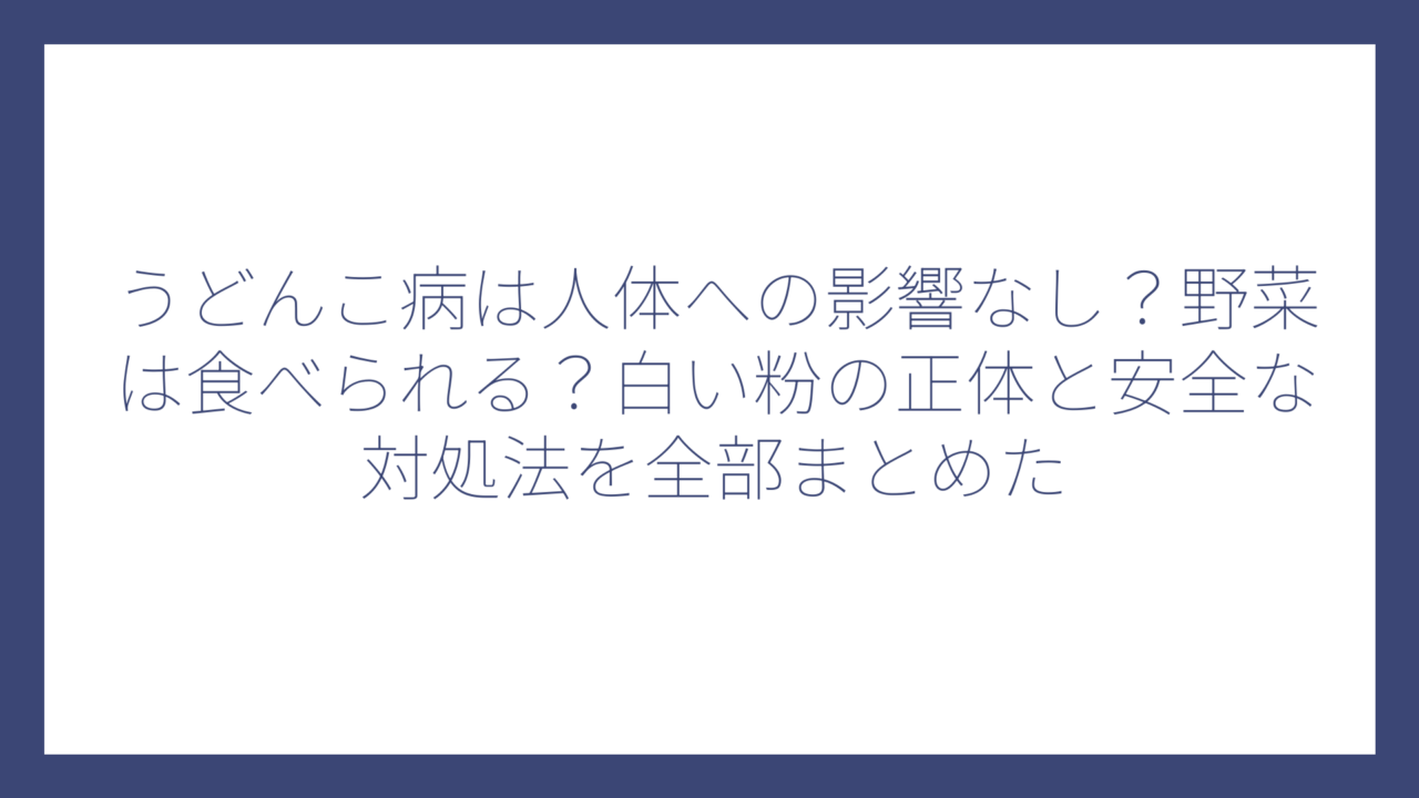 うどんこ病は人体への影響なし？野菜は食べられる？白い粉の正体と安全な対処法を全部まとめた