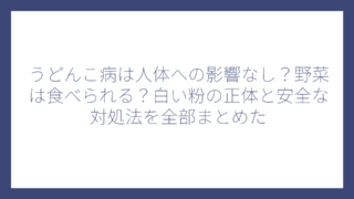 うどんこ病は人体への影響なし？野菜は食べられる？白い粉の正体と安全な対処法を全部まとめた