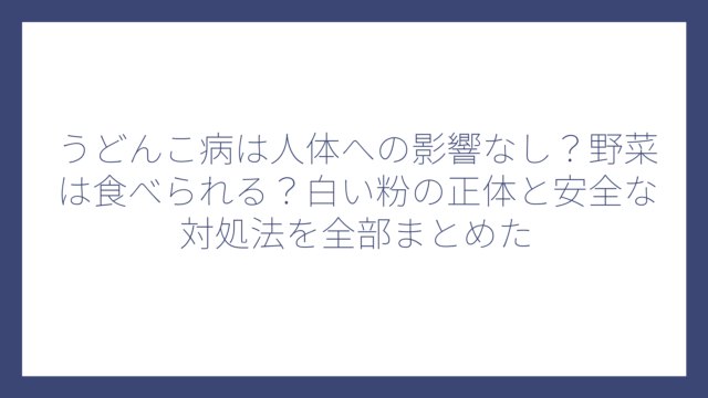 うどんこ病は人体への影響なし？野菜は食べられる？白い粉の正体と安全な対処法を全部まとめた