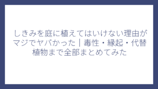 しきみを庭に植えてはいけない理由がマジでヤバかった｜毒性・縁起・代替植物まで全部まとめてみた