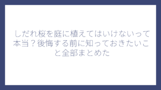 しだれ桜を庭に植えてはいけないって本当？後悔する前に知っておきたいこと全部まとめた