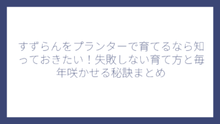 すずらんをプランターで育てるなら知っておきたい！失敗しない育て方と毎年咲かせる秘訣まとめ