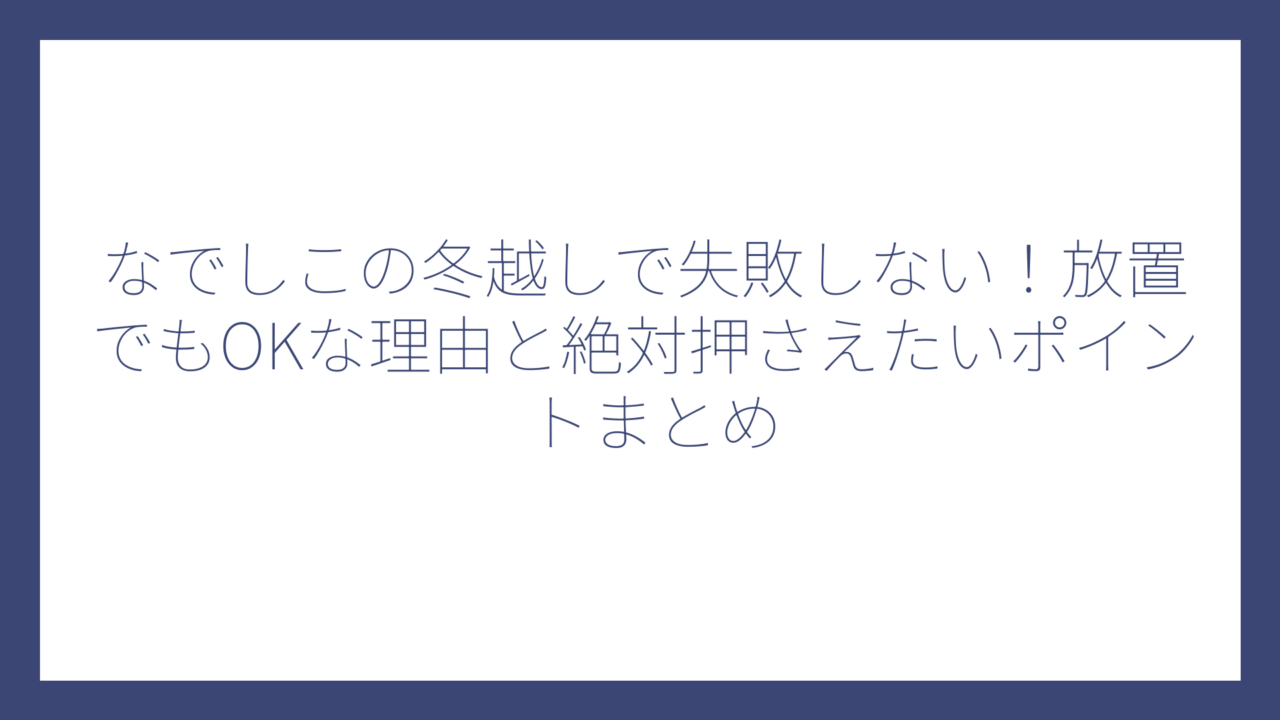 なでしこの冬越しで失敗しない！放置でもOKな理由と絶対押さえたいポイントまとめ