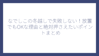 なでしこの冬越しで失敗しない！放置でもOKな理由と絶対押さえたいポイントまとめ