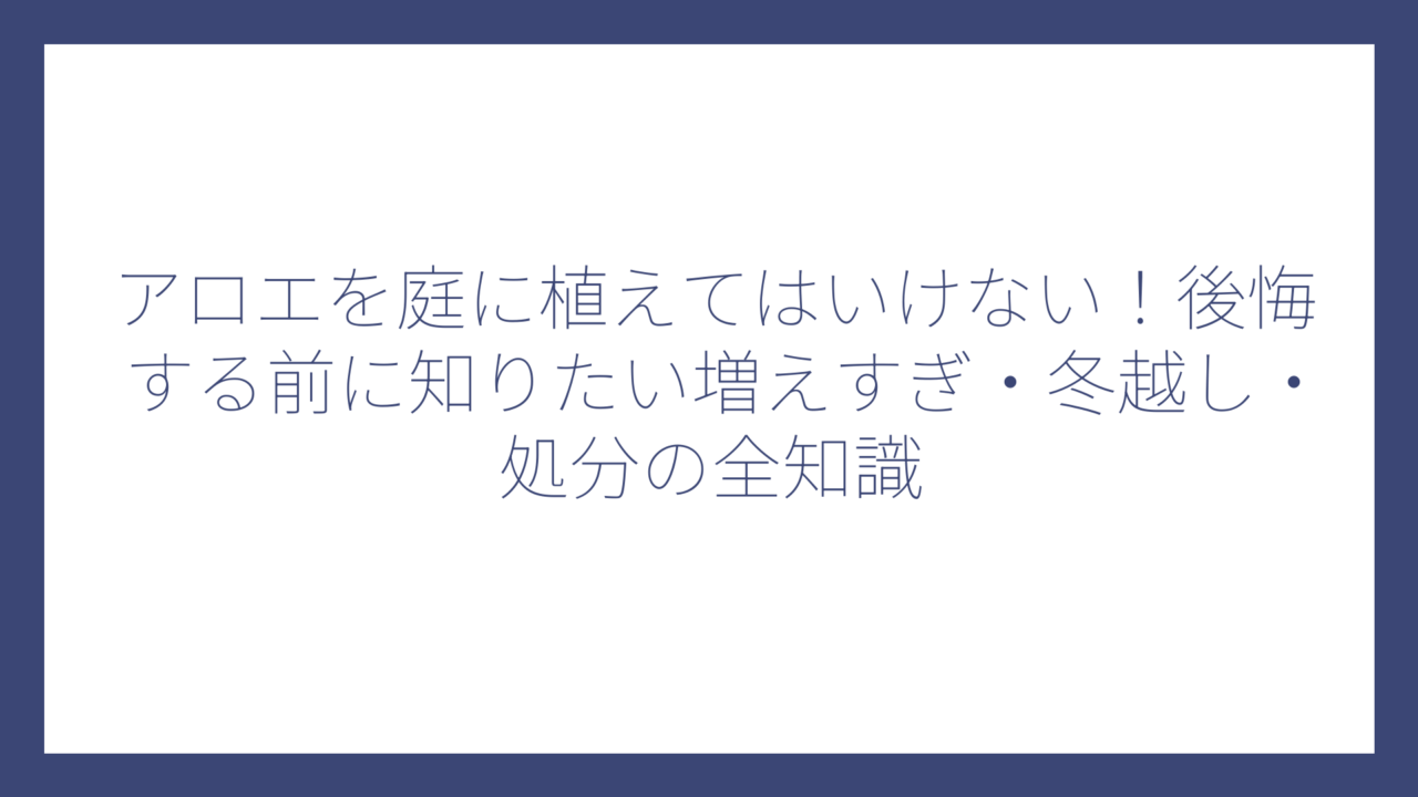 アロエを庭に植えてはいけない！後悔する前に知りたい増えすぎ・冬越し・処分の全知識