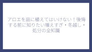 アロエを庭に植えてはいけない！後悔する前に知りたい増えすぎ・冬越し・処分の全知識