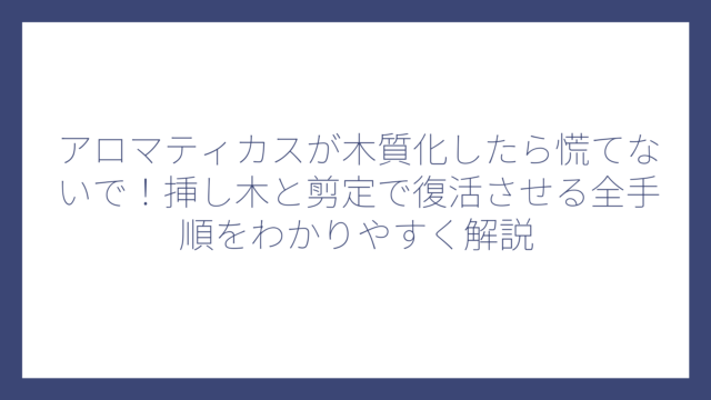 アロマティカスが木質化したら慌てないで！挿し木と剪定で復活させる全手順をわかりやすく解説