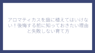 アロマティカスを庭に植えてはいけない！後悔する前に知っておきたい理由と失敗しない育て方