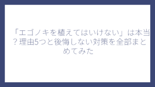 「エゴノキを植えてはいけない」は本当？理由5つと後悔しない対策を全部まとめてみた
