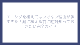 エニシダを植えてはいけない理由が多すぎた！庭に植える前に絶対知っておきたい完全ガイド