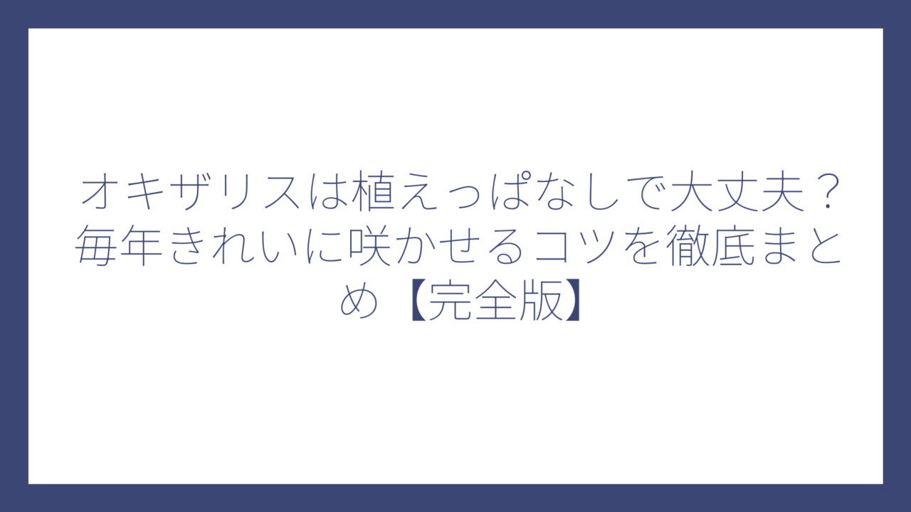 オキザリスは植えっぱなしで大丈夫？毎年きれいに咲かせるコツを徹底まとめ【完全版】