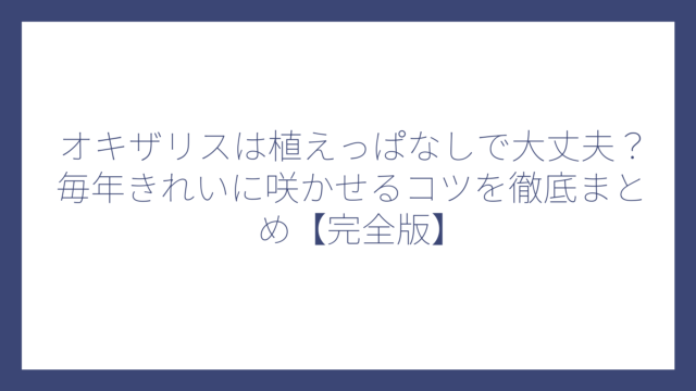 オキザリスは植えっぱなしで大丈夫？毎年きれいに咲かせるコツを徹底まとめ【完全版】