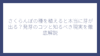 さくらんぼの種を植えると本当に芽が出る？発芽のコツと知るべき現実を徹底解説