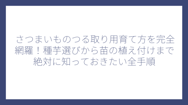 さつまいものつる取り用育て方を完全網羅！種芋選びから苗の植え付けまで絶対に知っておきたい全手順