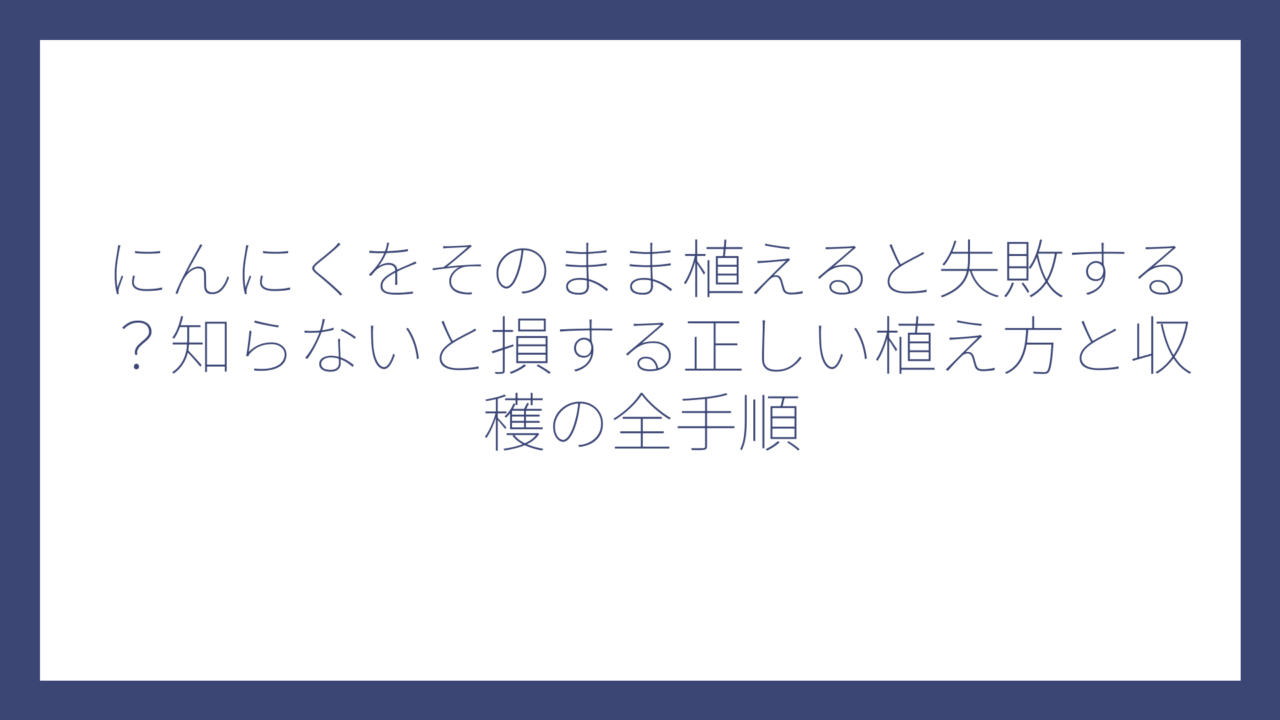 にんにくをそのまま植えると失敗する？知らないと損する正しい植え方と収穫の全手順