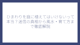 ひまわりを庭に植えてはいけないって本当？迷信の真相から風水・育て方まで徹底解説