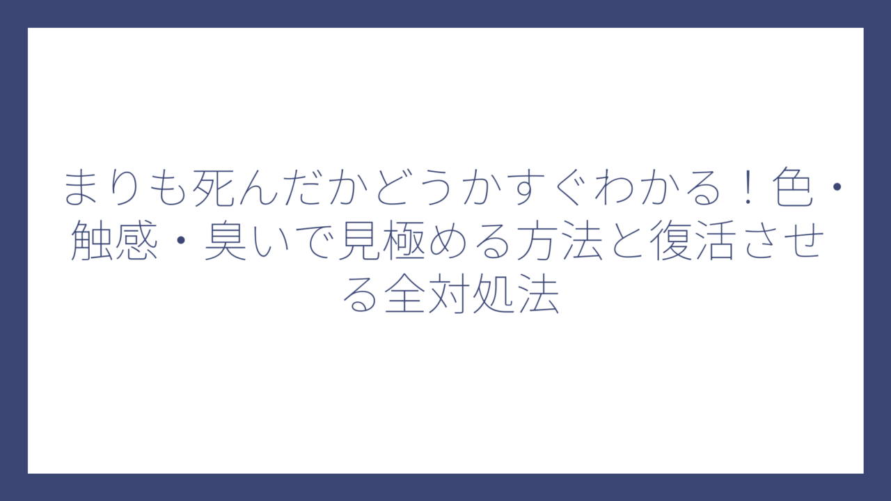 まりも死んだかどうかすぐわかる！色・触感・臭いで見極める方法と復活させる全対処法