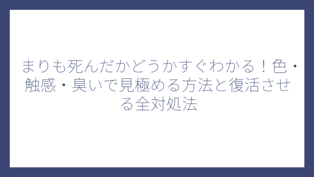 まりも死んだかどうかすぐわかる！色・触感・臭いで見極める方法と復活させる全対処法