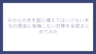 みかんの木を庭に植えてはいけない本当の理由と後悔しない対策を全部まとめてみた